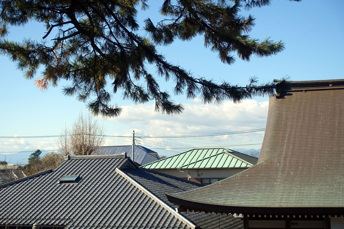 霊園内から見える富士山