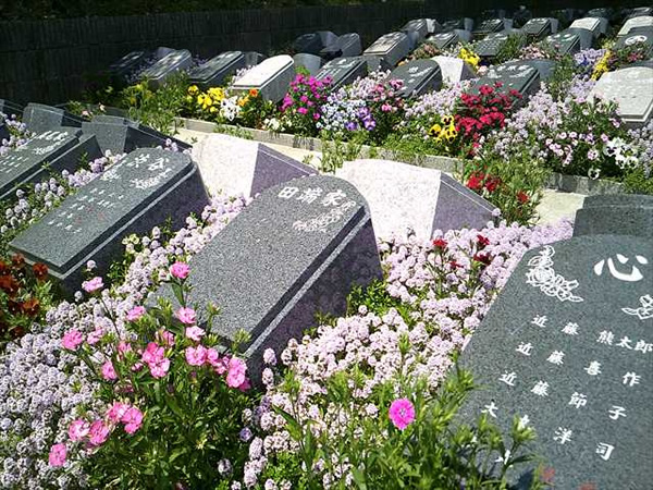 さがみ野霊園の樹木葬墓（4柱）