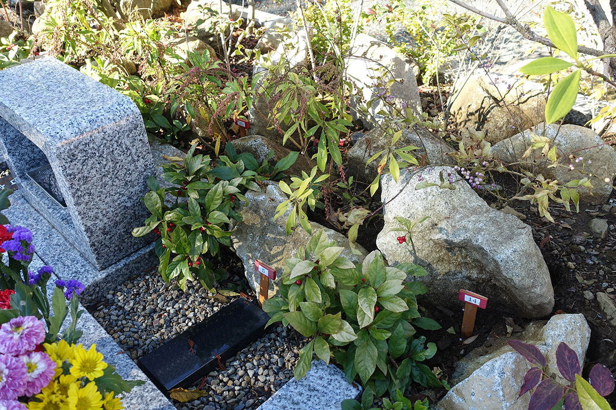 プレミアム愛川の里樹木葬墓地の山野草と自然石