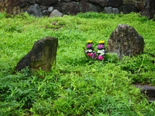 自然苑樹木葬墓地