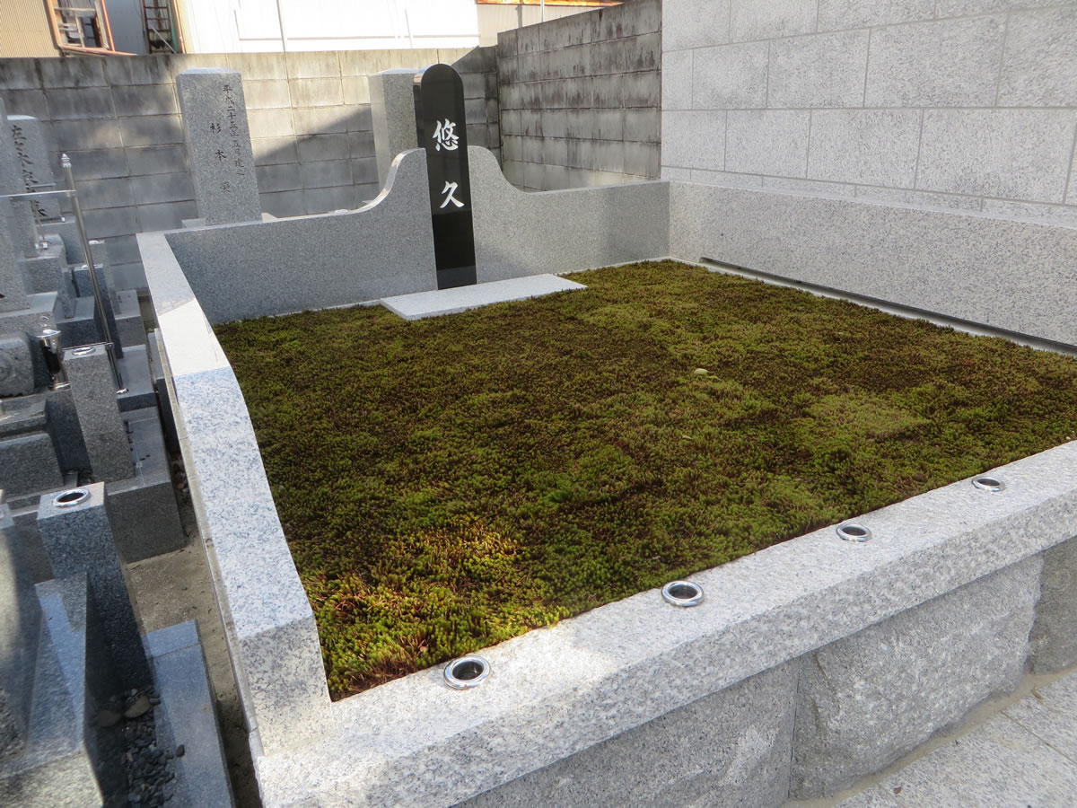 本實院樹木葬墓地全景